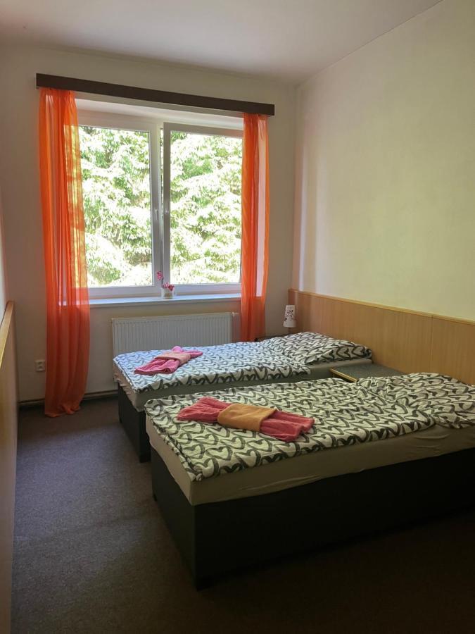 Apartman Novohradky 22 Benesov nad Cernou Экстерьер фото