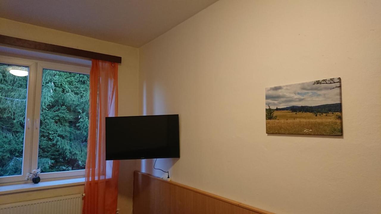 Apartman Novohradky 22 Benesov nad Cernou Экстерьер фото